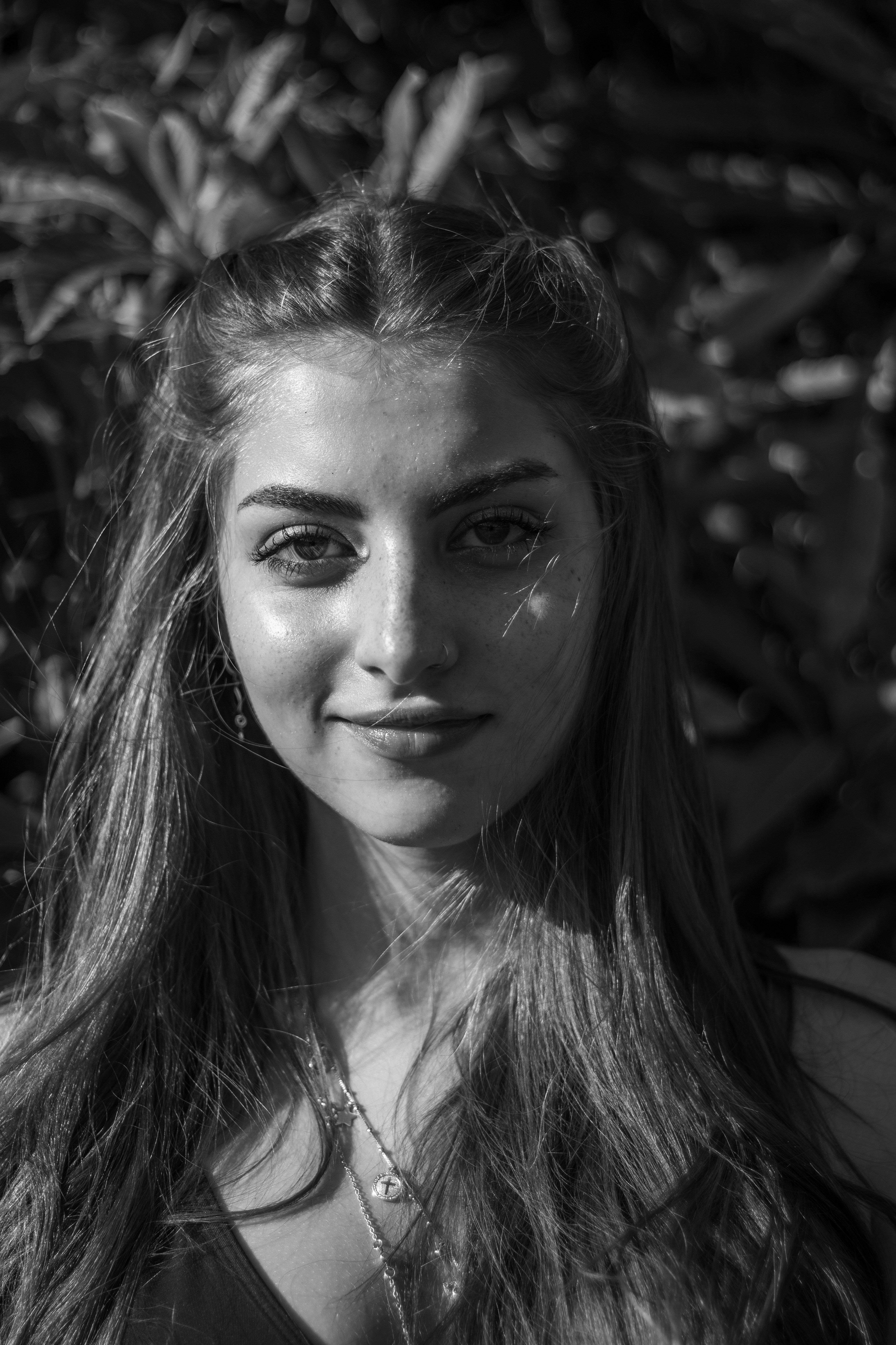 热播条目封面：探案系列