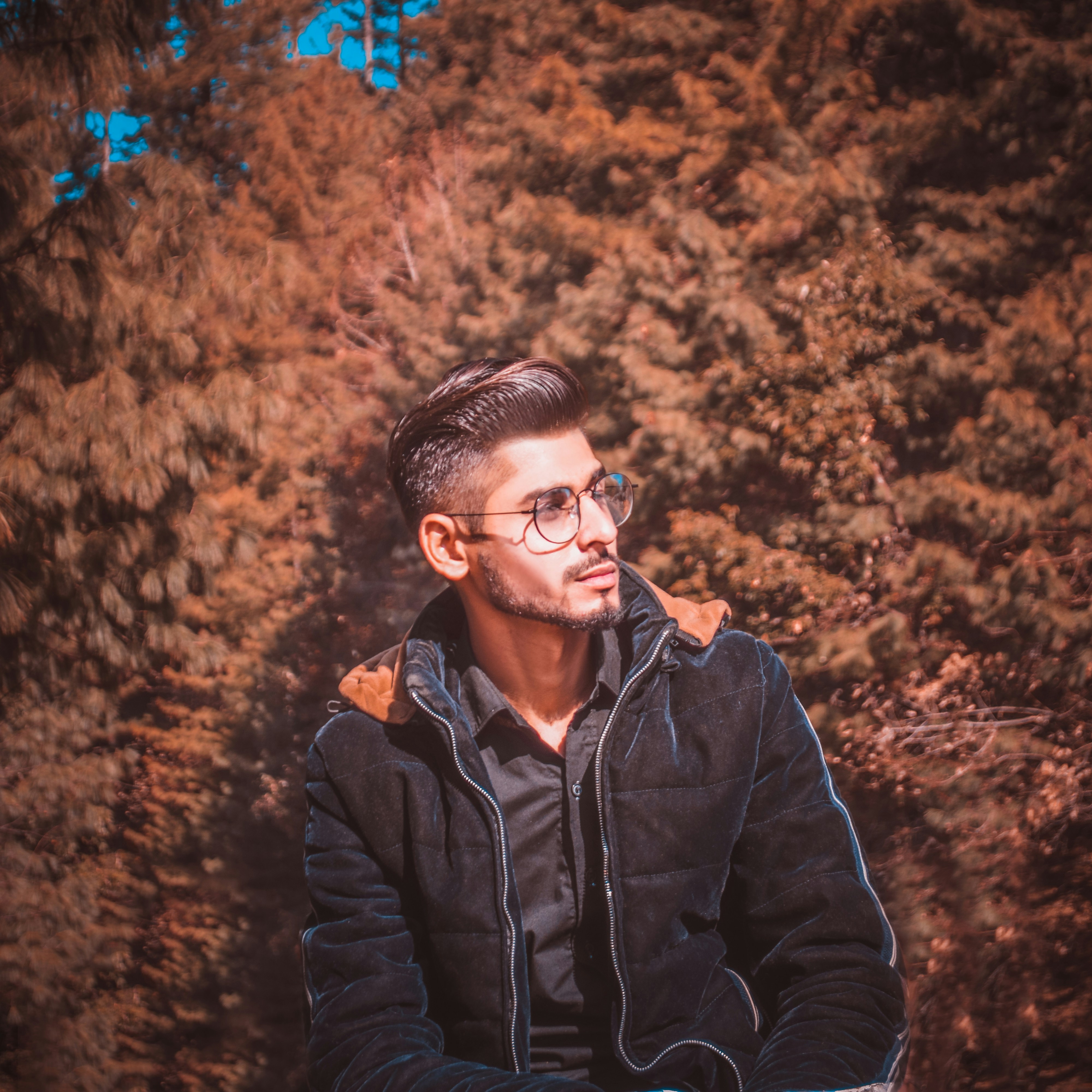 高清合集封面图