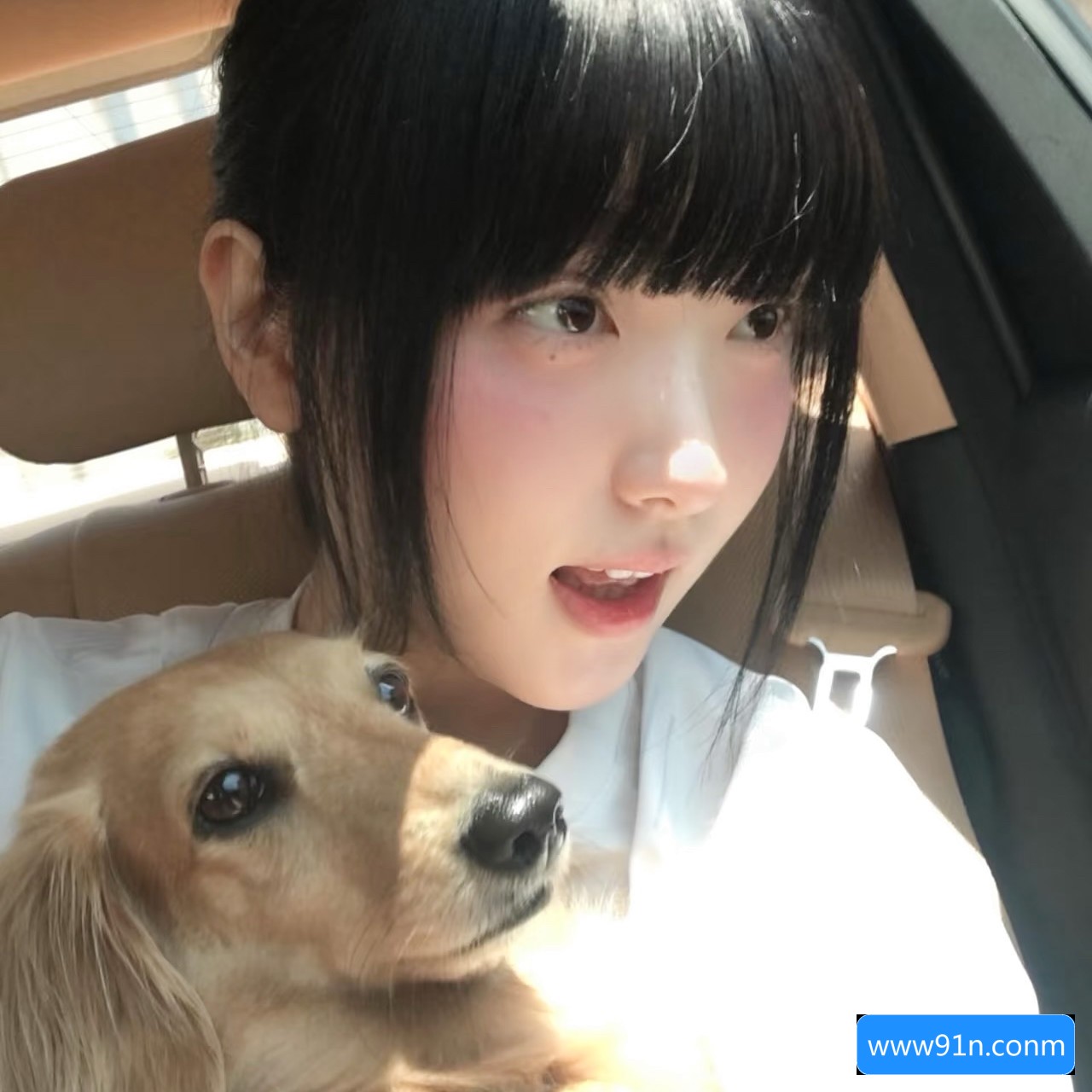 安全浏览网页界面